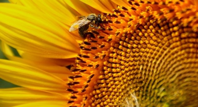 SUDJELOVANJE VRTIĆA NA KONFERENCIJI O PREVENCIJI KARDIOVASKULARNIH BOLESTI- PRIMJERI DOBRE PRAKSE