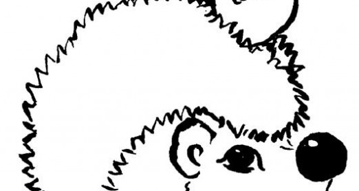 USUSRET JESENI- JEŽ