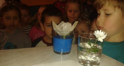 PRIČA - POTOČIĆ, PORUKA NAŠIH VELIKIH MAKSIĆA