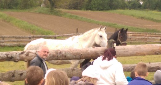 ŽIVOTINJE NA IZLETU