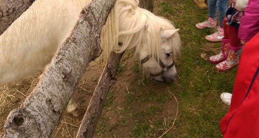 ŽIVOTINJE NA IZLETU