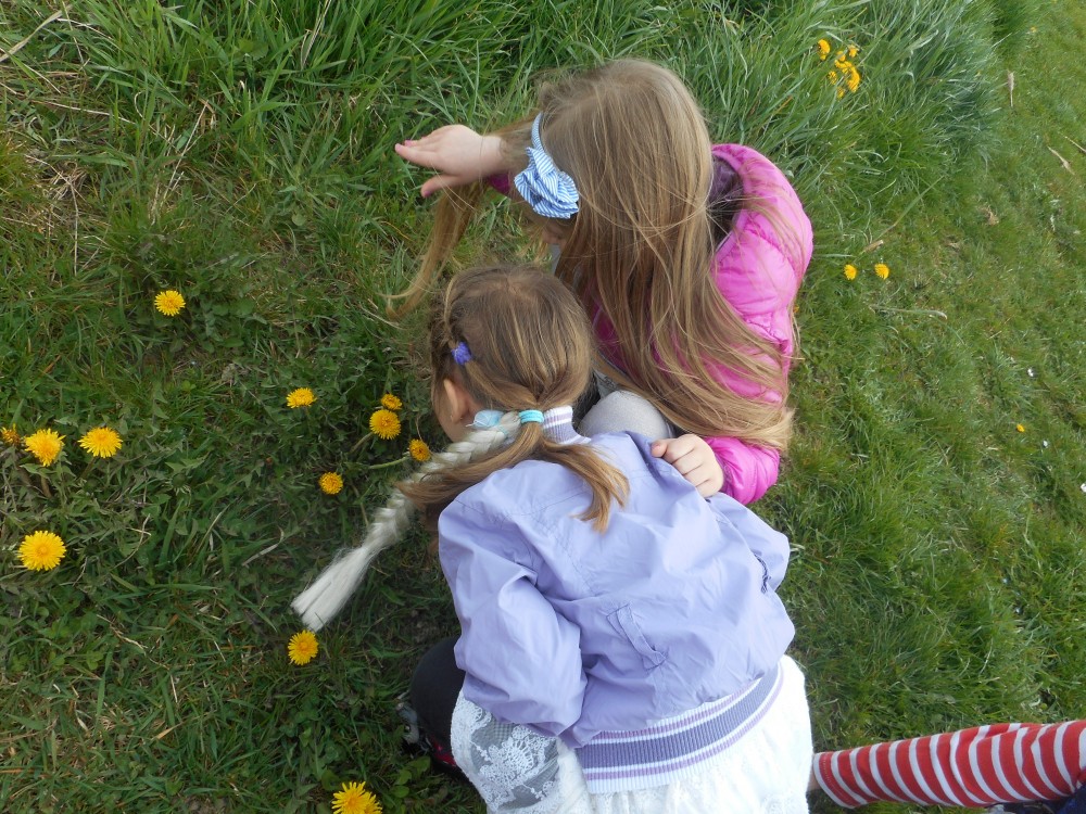 PRONAĐI CVIJET, ISPRIČAJ PRIČU ILI NASLIKAJ SVOJ CVIJET