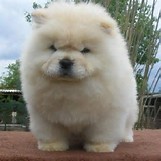 PROČITAJTE PRIČU U KRUGU OBITELJI  - BRIGA O DRUGIMA