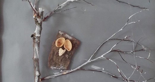 ZA ZAJEDNIČKO PROVEDENO VRIJEME