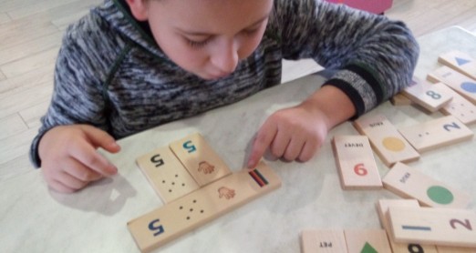 RAZVOJ PREDVJEŠTINA ČITANJA I PISANJA