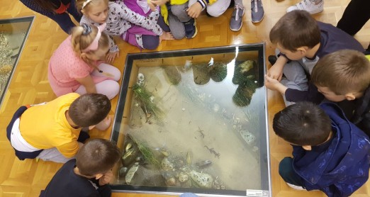 PROVEDNE AKTIVNOSTI NA TEMU MEDIJSKE PISMENOSTI