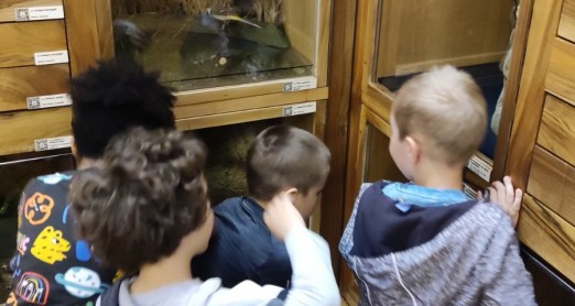 PROVEDNE AKTIVNOSTI NA TEMU MEDIJSKE PISMENOSTI