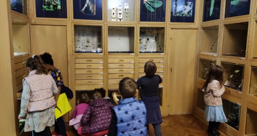 PROVEDNE AKTIVNOSTI NA TEMU MEDIJSKE PISMENOSTI
