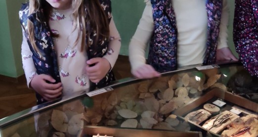 PROVEDNE AKTIVNOSTI NA TEMU MEDIJSKE PISMENOSTI