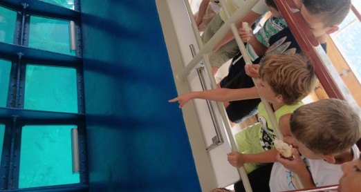 ORGANIZIRAN PROGRAM LJETOVANJA NA RABU